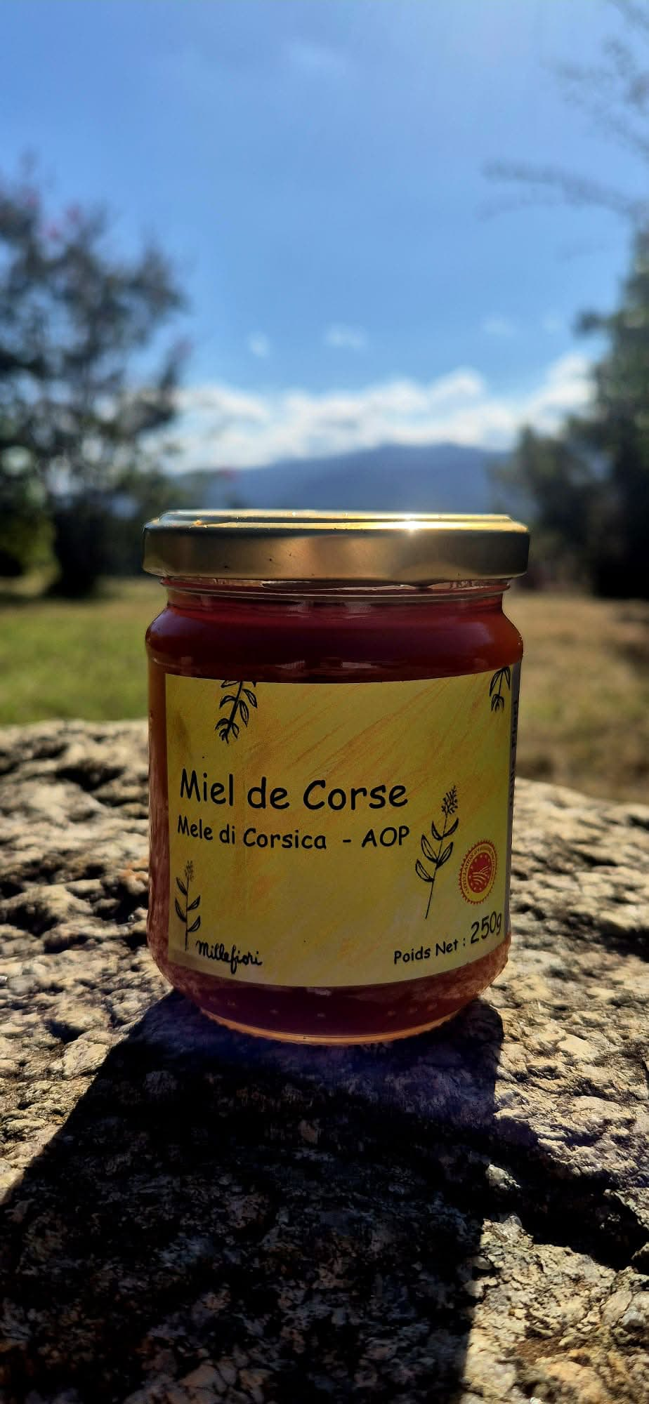 Pot de miel de Corse AOP 250 grammes
